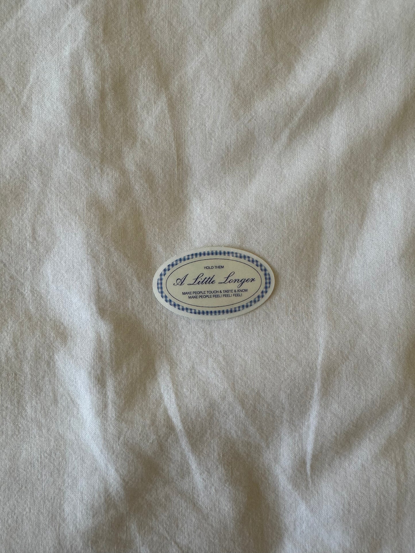 Gingham Hold Them A Little Longer Clear Sticker